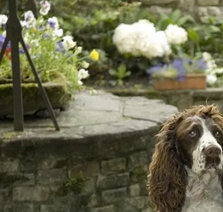 Entro Le Mura ベルガモ